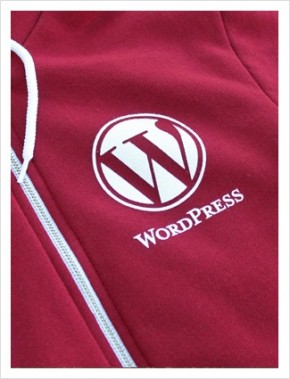 wordpress plugins 