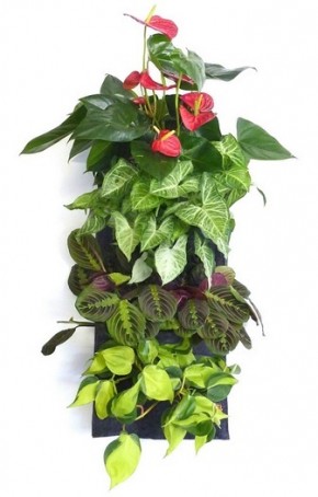 Florafelt vertical wall planter home gift guide